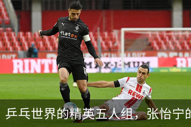 乒乓世界的精英五人组，张怡宁的真实话语揭秘！