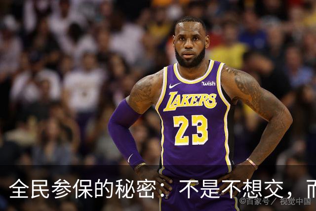 全民参保的秘密：不是不想交，而是交不起！
