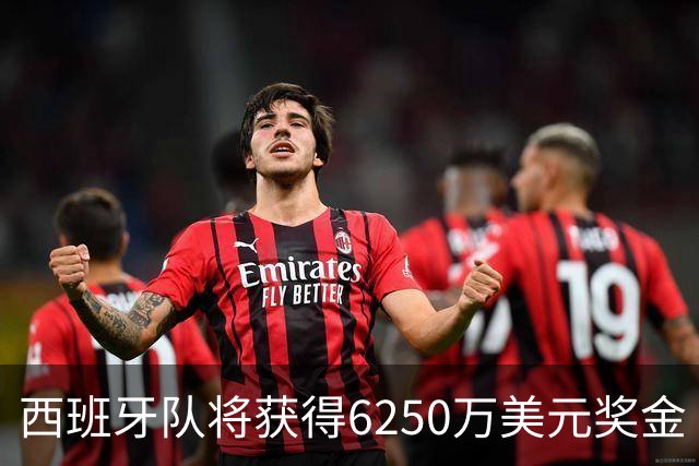 西班牙队将获得6250万美元奖金 每位球员将分得约88万美元